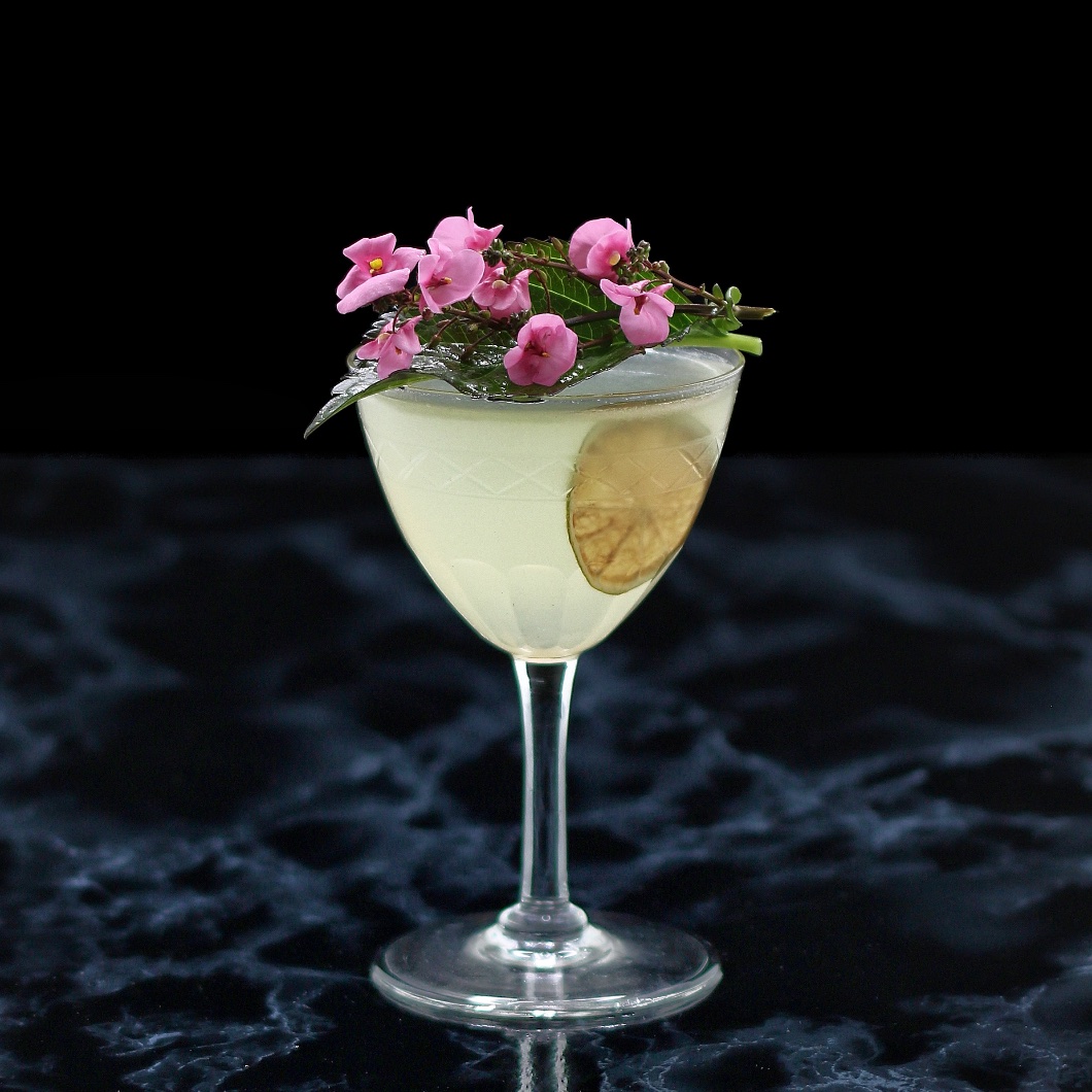 Cadaqcha cocktail recipe using Difford’s Daiquiri Bitters