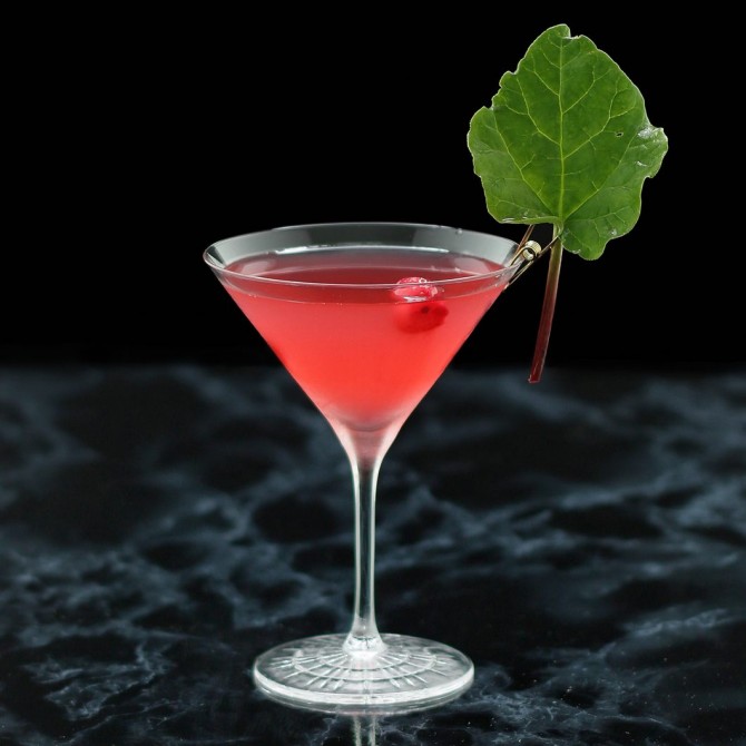 Ruby Rosé Martini cocktail recipe using Bob’s Summer Bitters