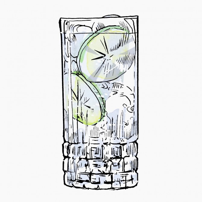 Gin and Tonic cocktail